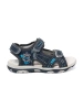 Navy blue children's sandals