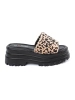 Leopard Platform Slides