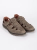 Men's Brown Perforated Loafers